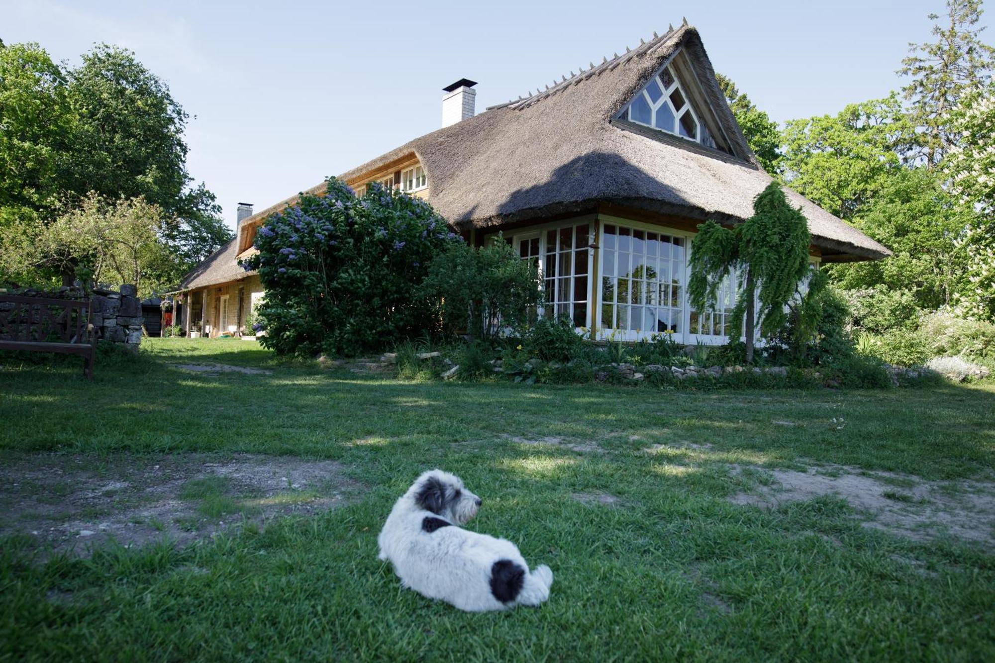 Hotel Muhu Tonise Talu Liiva  Exterior foto